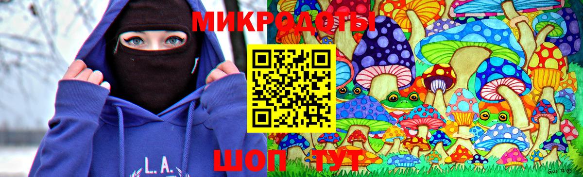 Псилоцибиновые грибы Cubensis Михайловск