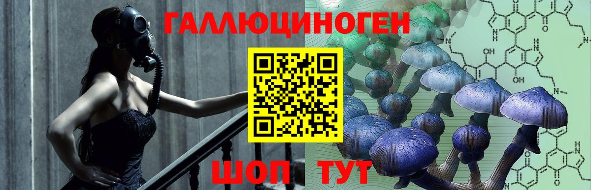 Михайловск  Галлюциногенные грибы GOLDEN TEACHER  Вход с VPN 